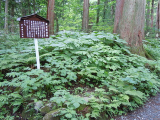 DSCN2568.JPG
