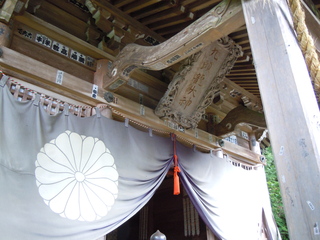 DSCN2570.JPG