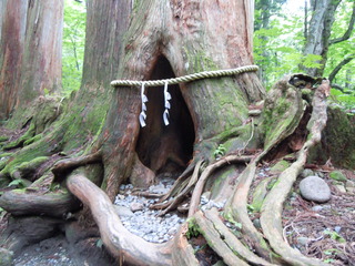 DSCN2581.JPG