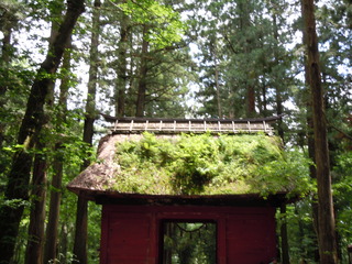 DSCN2583.JPG