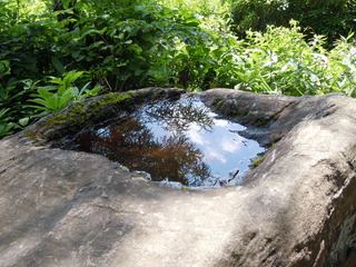 DSCN2597.JPG