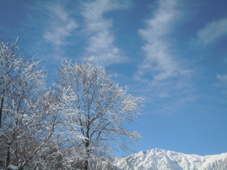 DSCN2671.JPG