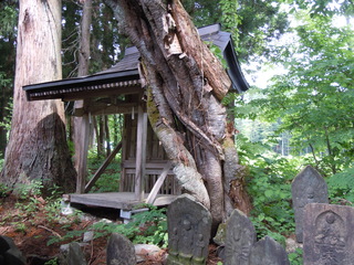 DSCN3018.JPG
