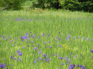 DSCN3023.JPG