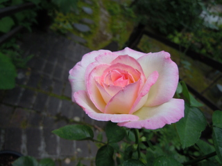 DSCN3118.JPG