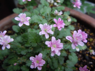 DSCN3121.JPG