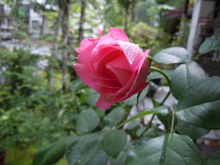 DSCN3140.JPG