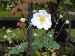 DSCN3302.JPG