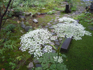 DSCN3312.JPG