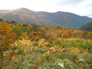 DSCN3347.JPG
