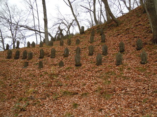DSCN3797.JPG