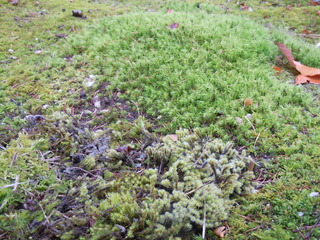 DSCN3828.JPG
