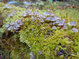 DSCN3833.JPG