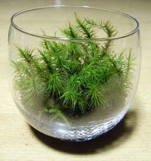 DSCN3838.jpg2.jpg