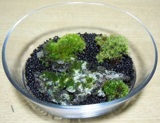 DSCN3844.jpg4.jpg