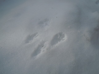 DSCN3999.JPG