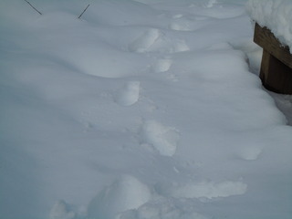 DSCN4004.JPG