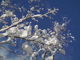 DSCN4010.JPG