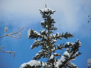 DSCN4011.JPG