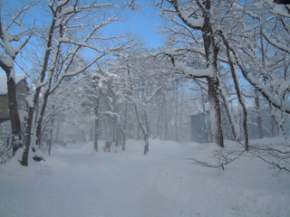 DSCN4018.JPG