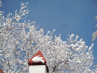 DSCN4040.JPG