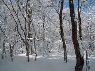 DSCN4050.JPG