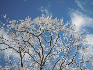 DSCN4055.JPG